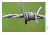 Razor Barbed Wire