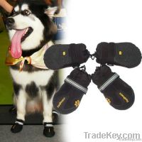 dog shoes