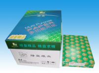 A4 Printing Paper