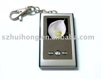 Digital Photo Frame