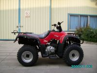 MOTORCYCLE ATV DY250ST