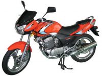 Mo Torcycle DY250-2