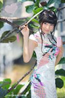 Cheong-sam Clothes