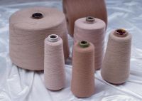 Organic Cotton Yarn