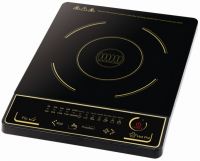 Induction Cooker