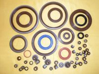 Oil Seal