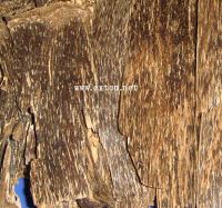 High Grade China Agarwood Chips