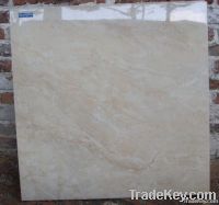 Full polished floor tile