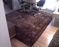 Sarough Rug (12'2'