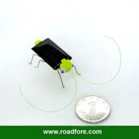 solar grasshopper, solar education toy