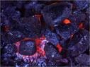 COAL TYPE B
