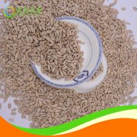 top quality sunflower kernels