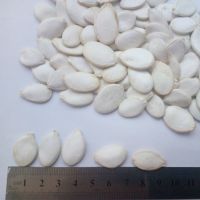 Snow white pumpkin seeds