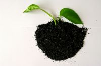 Potassium Humate 99