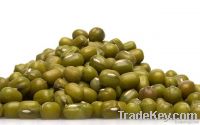 Green Mung Beans From Australia