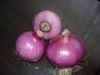 Peeled Onion