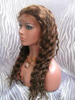 Lace Front Wig 8&quot;-24&quot; Brazilian Virgin Human Hair Wigs