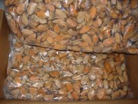 MUSSEL MEAT