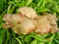 Fresh Jamaican Ginger