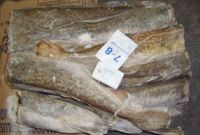 Russian frozen cod J-CUT