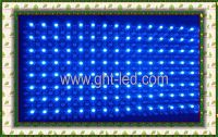 Single-color Led Display Or Led