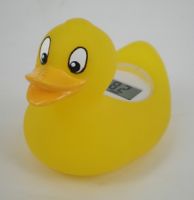 Bath Thermometer