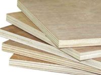 veneer