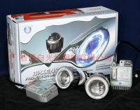 Hi-low xenon project light