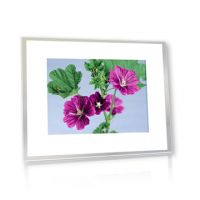 15inch Digital photo frame 150A