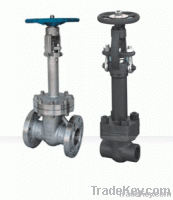 Cryogenic Gate Valve