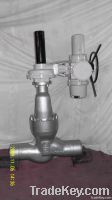 High Pressure Globe Valve