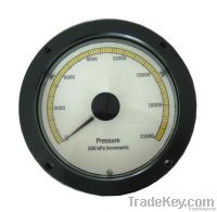 Electronic Weight Indicator