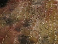Bag Leather