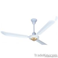 Ceiling fan