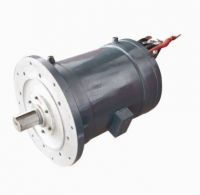 Brushless Electric Motor