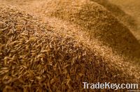 Rice husk