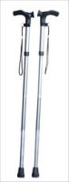 Walking  Stick