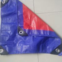 tarpaulin