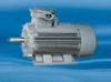 Y2 Series Explosion-Proof Three Phase Induction Motor