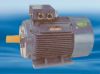 Y2E1 series high-efficiency three phase induction motors