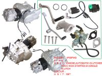 1P50FMG, ENGINE AUTOMATIC-CLUTCHED, 110CC KICK-STARTED, 6V, SINGLE CLUTCH