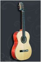 Classical guitar GC-205S