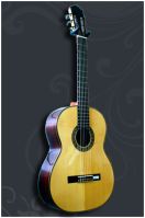 Classical guitar GC-307C