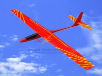 FREE BIRD rc plane