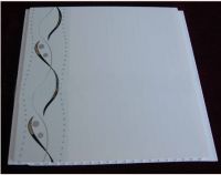 Plastic (pvc)panel