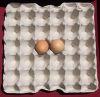 https://cn.tradekey.com/product_view/30-Egg-Paper-Trays-100944.html