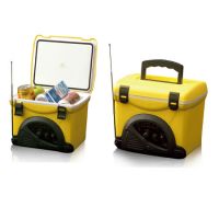 Fishing And Leisure Oriented Cooler BW