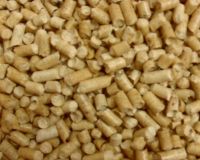 pine wood cat litter