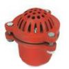 Cast Iron Foot Valve/strainer