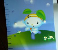 Pp Growth Chart/CD Cases/photo